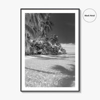 The Bahamas Black and White Fine Art Photo Print, Palm Trees, Caribbean, Nassau Poster