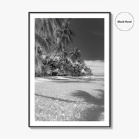 The Bahamas Black and White Fine Art Photo Print, Palm Trees, Caribbean, Nassau Poster
