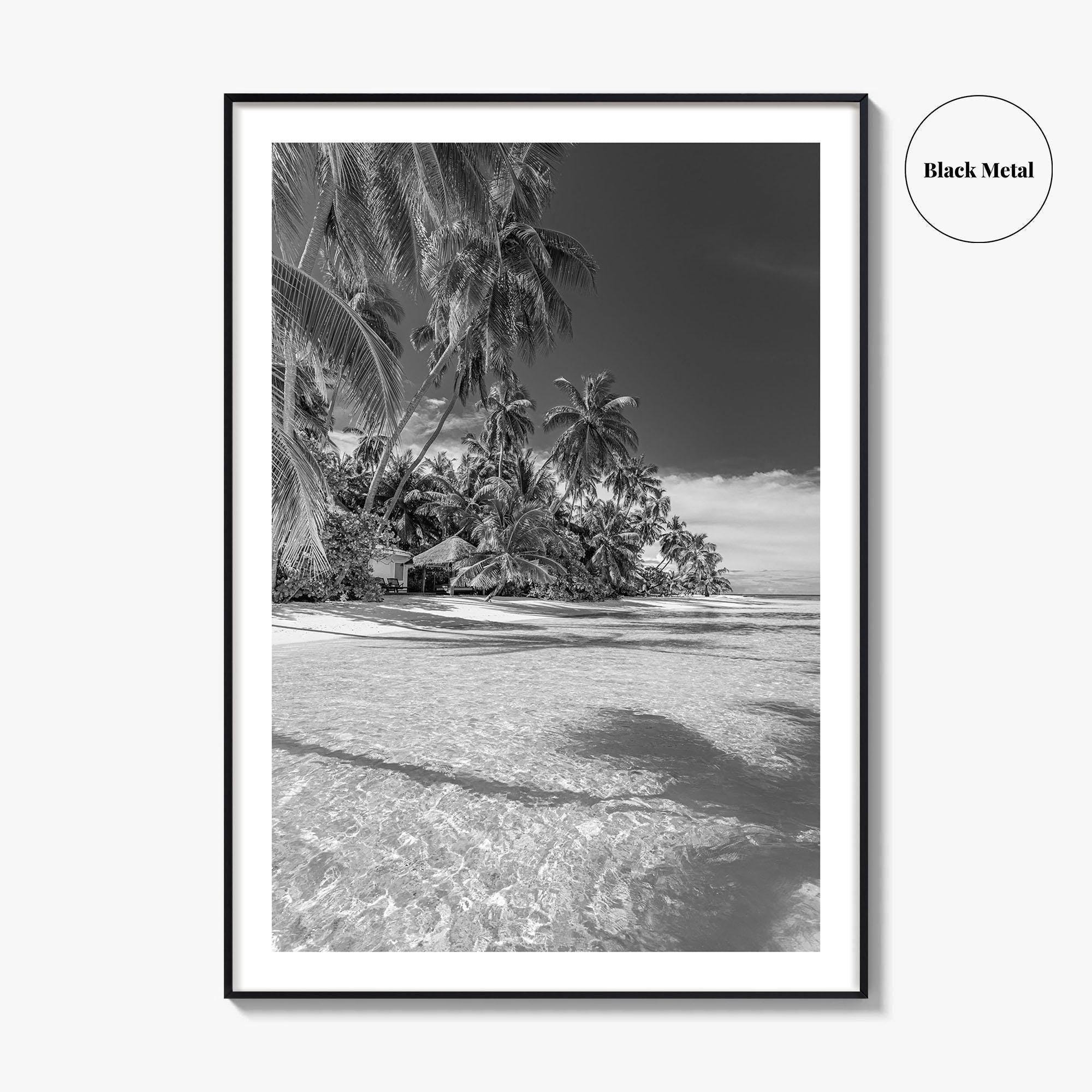 The Bahamas Black and White Fine Art Photo Print, Palm Trees, Caribbean, Nassau Poster