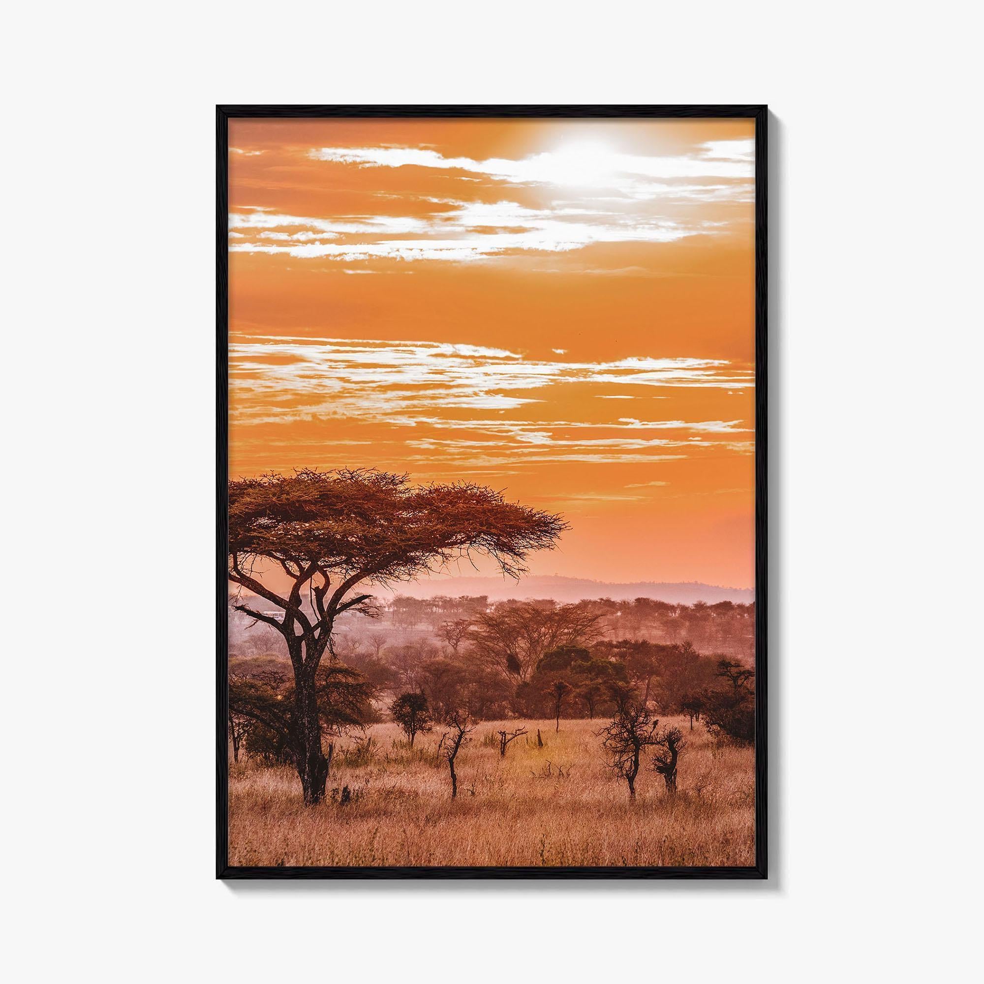Serengeti Fine Art Photo Print, Tanzania Wall Poster, African Savanna, Acacia Trees