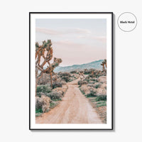 Joshua Tree National Park Fine Art Photo Print, Pioneertown Mountains Preserve, Mojave Desert Poster