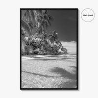 The Bahamas Black and White Fine Art Photo Print, Palm Trees, Caribbean, Nassau Poster