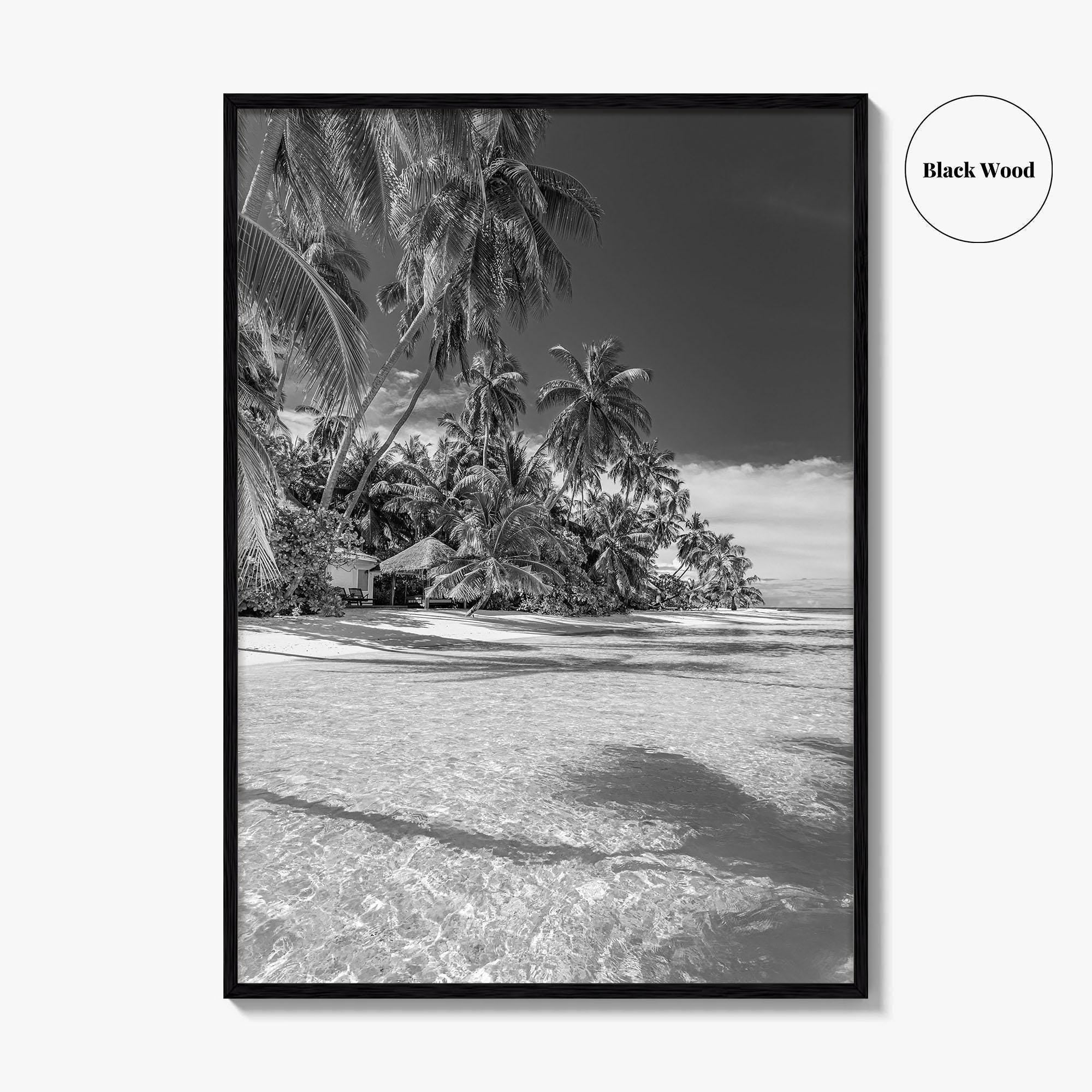 The Bahamas Black and White Fine Art Photo Print, Palm Trees, Caribbean, Nassau Poster