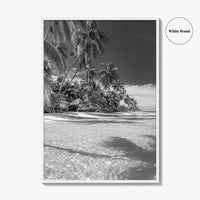 The Bahamas Black and White Fine Art Photo Print, Palm Trees, Caribbean, Nassau Poster