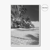 The Bahamas Black and White Fine Art Photo Print, Palm Trees, Caribbean, Nassau Poster
