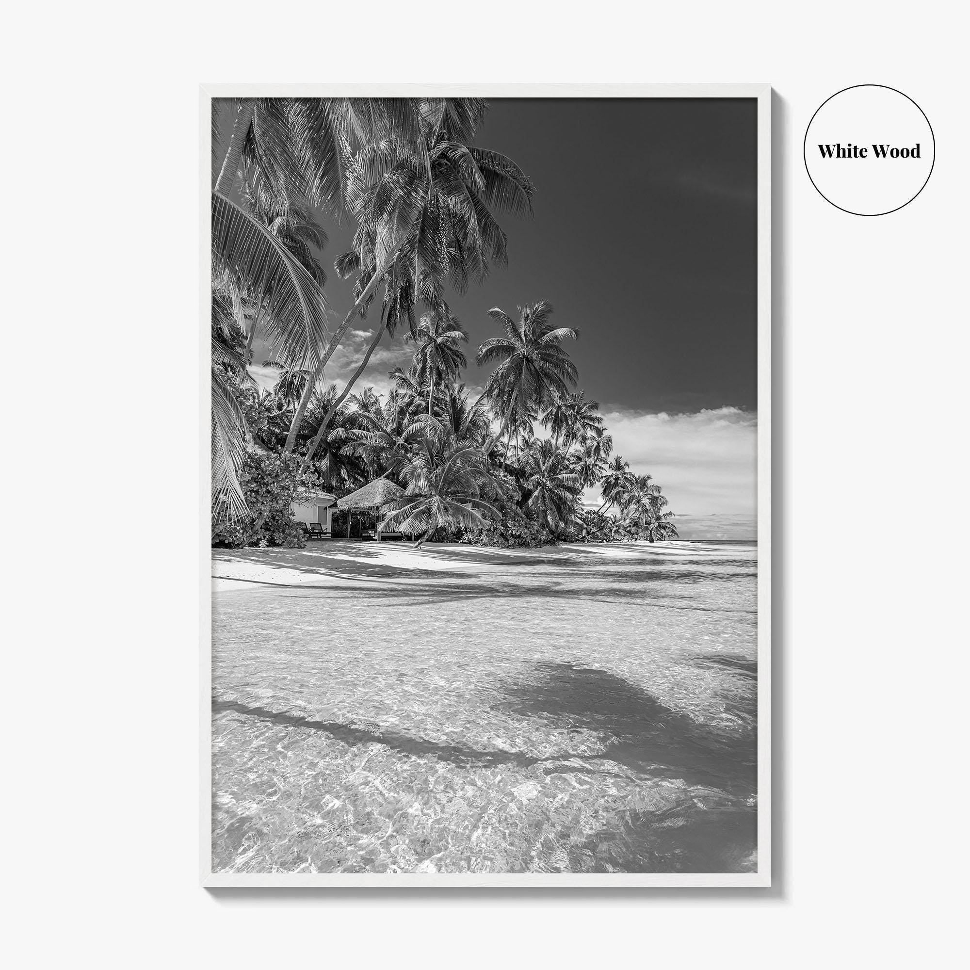 The Bahamas Black and White Fine Art Photo Print, Palm Trees, Caribbean, Nassau Poster