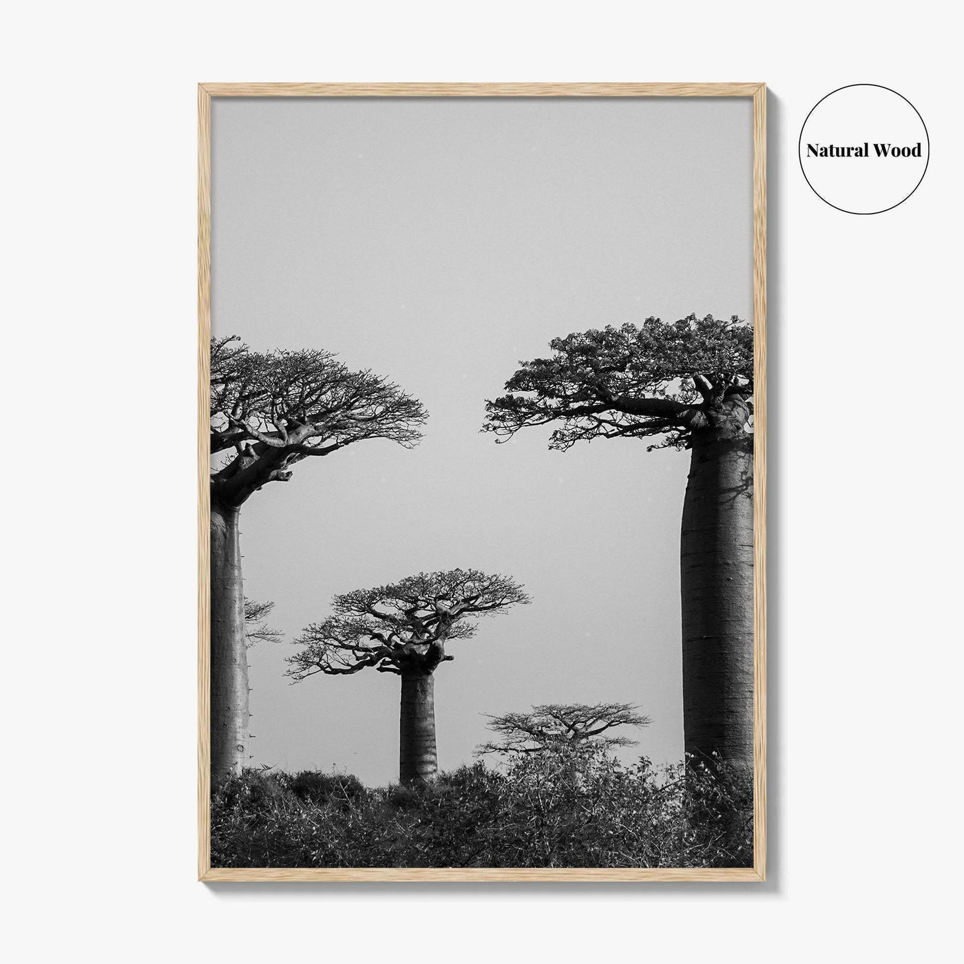 Morondava Black and White Fine Art Photo Print, Avenue Baobabs Madagascar Poster