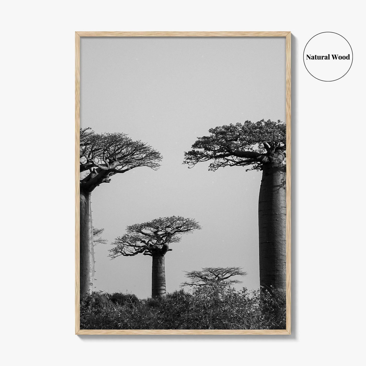 Morondava Black and White Fine Art Photo Print, Avenue Baobabs Madagascar Poster
