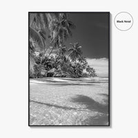 The Bahamas Black and White Fine Art Photo Print, Palm Trees, Caribbean, Nassau Poster