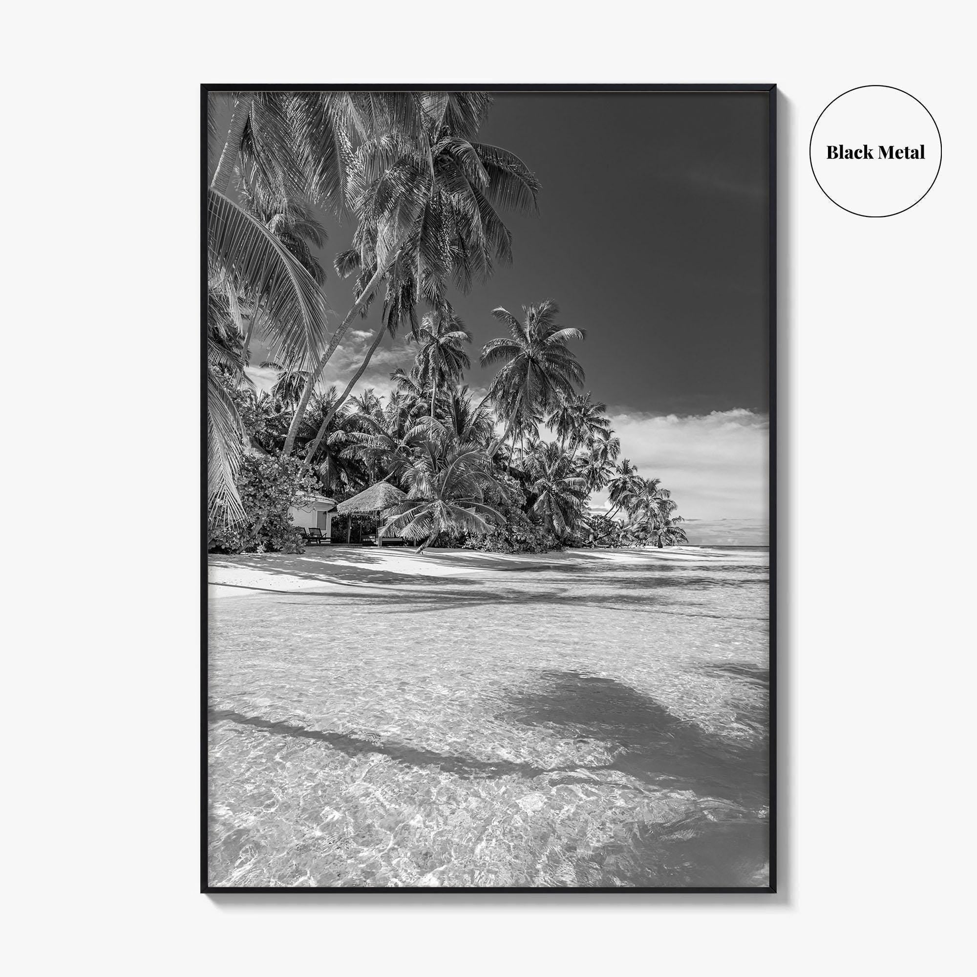 The Bahamas Black and White Fine Art Photo Print, Palm Trees, Caribbean, Nassau Poster