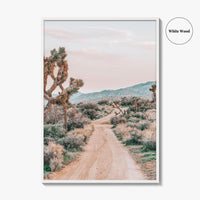 Joshua Tree National Park Fine Art Photo Print, Pioneertown Mountains Preserve, Mojave Desert Poster