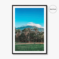 Caracas Fine Art Photo Print, Venezuela Wall Art, Avila Mountain Parque del Este