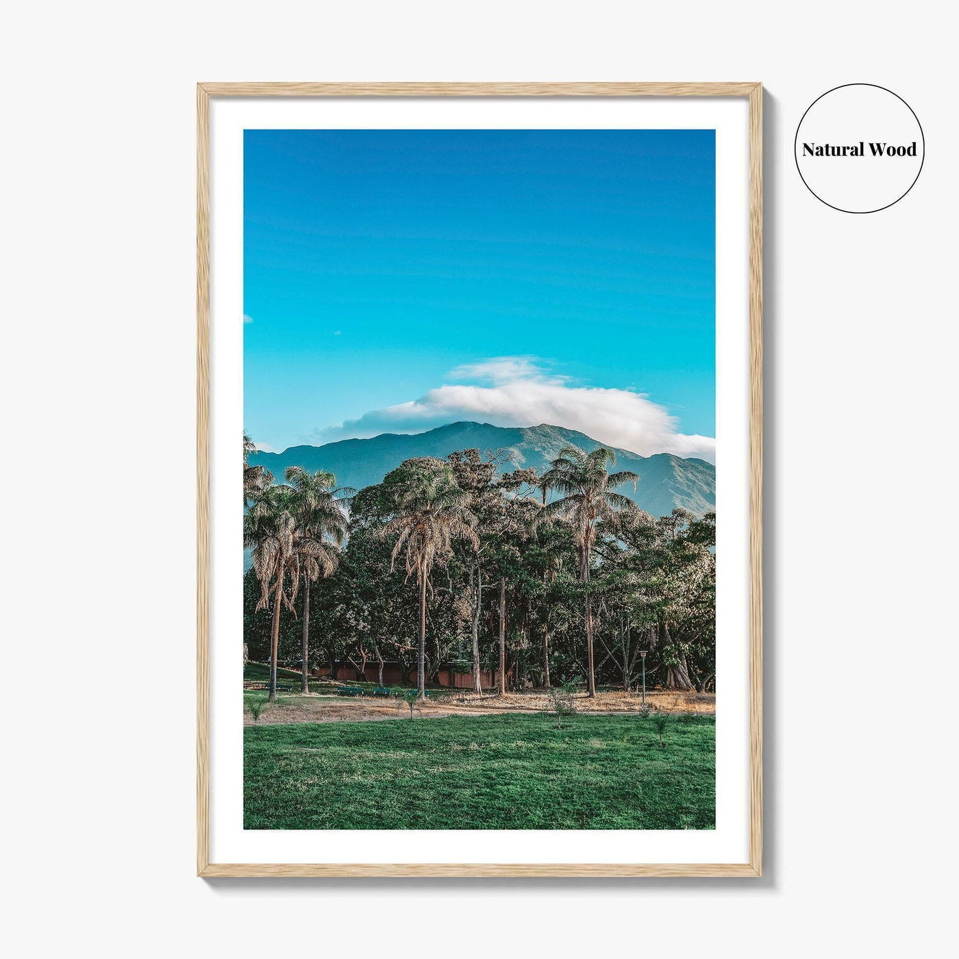Caracas Fine Art Photo Print, Venezuela Wall Art, Avila Mountain Parque del Este