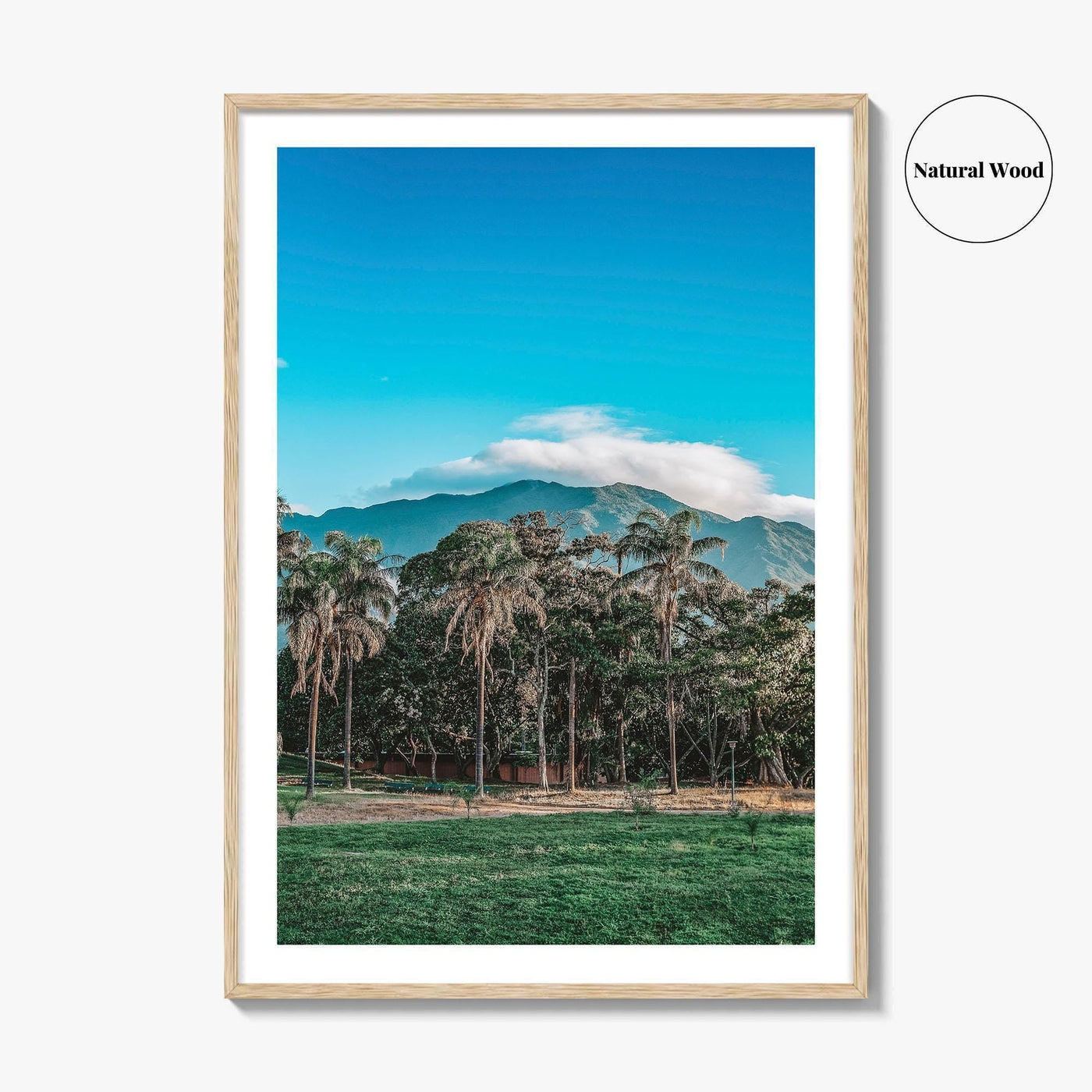 Caracas Fine Art Photo Print, Venezuela Wall Art, Avila Mountain Parque del Este