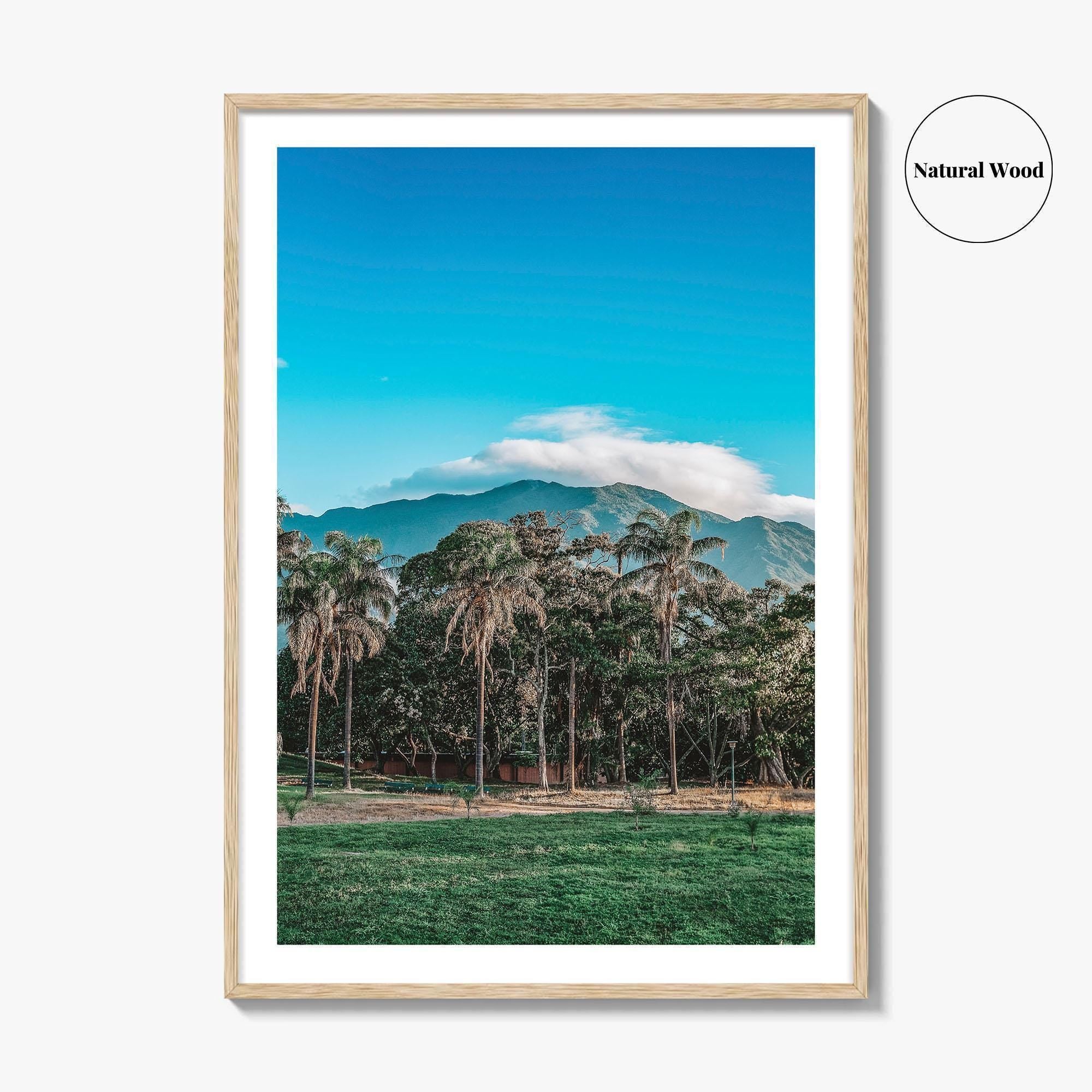 Caracas Fine Art Photo Print, Venezuela Wall Art, Avila Mountain Parque del Este