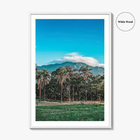 Caracas Fine Art Photo Print, Venezuela Wall Art, Avila Mountain Parque del Este