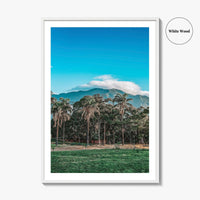 Caracas Fine Art Photo Print, Venezuela Wall Art, Avila Mountain Parque del Este