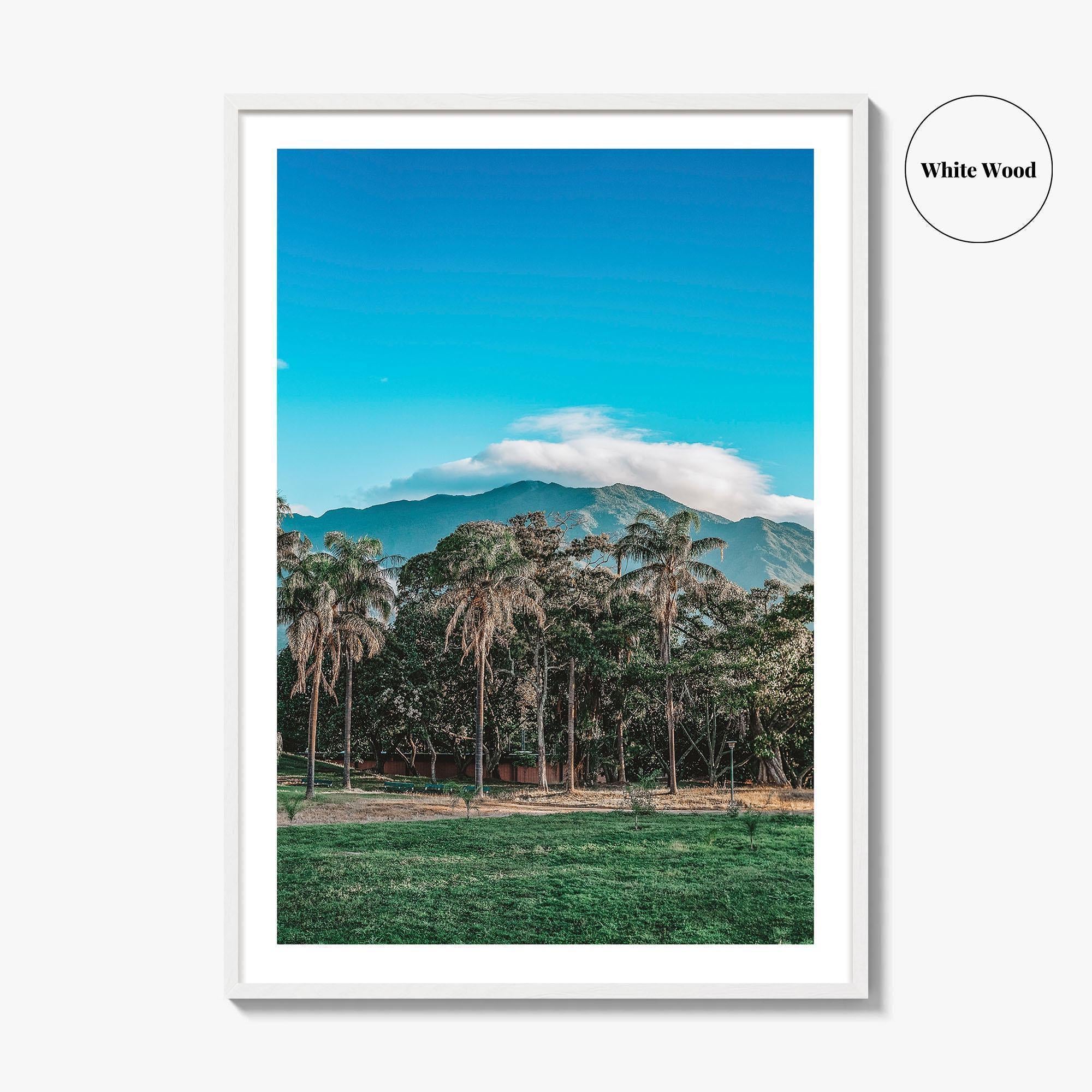 Caracas Fine Art Photo Print, Venezuela Wall Art, Avila Mountain Parque del Este