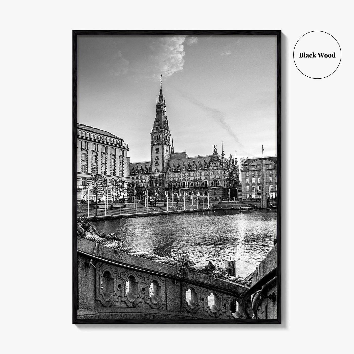Hamburg Black and White Fine Art Photo Print, City Hall Rathaus, Germany Wall Poster