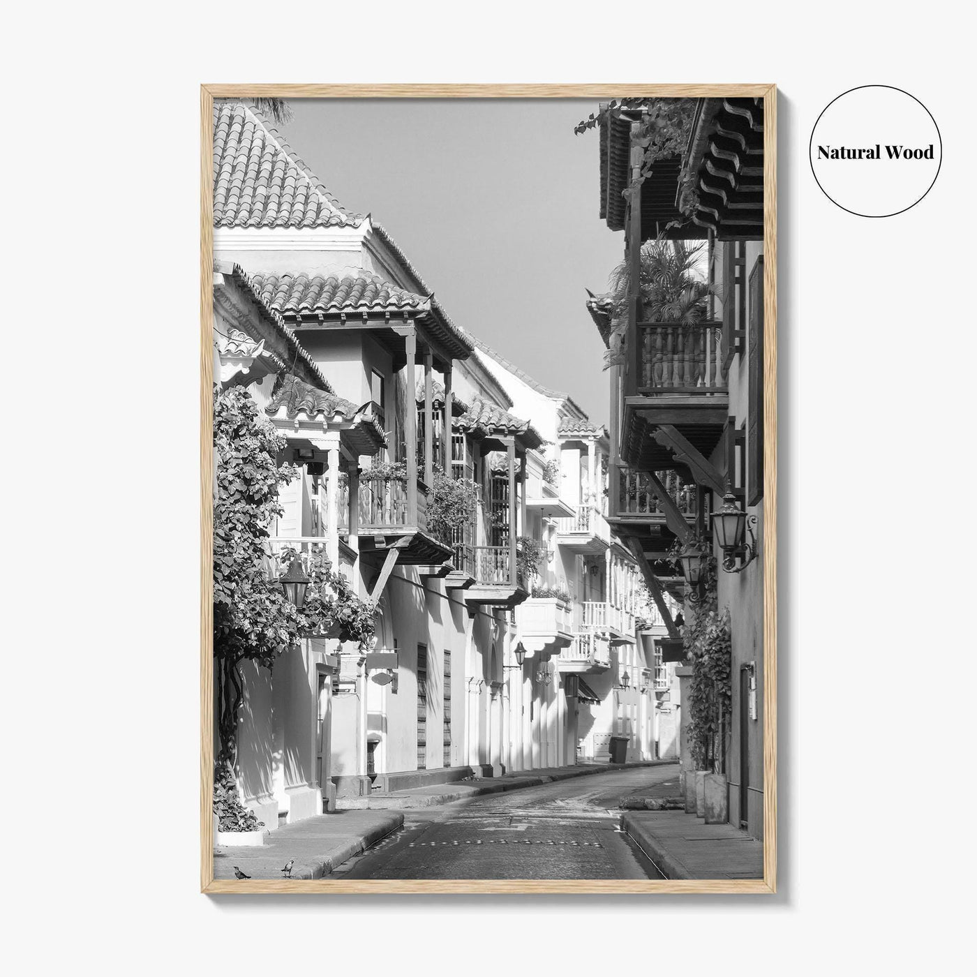 Cartagena Black and White Fine Art Photo Print, Colombia Colonial Street Poster
