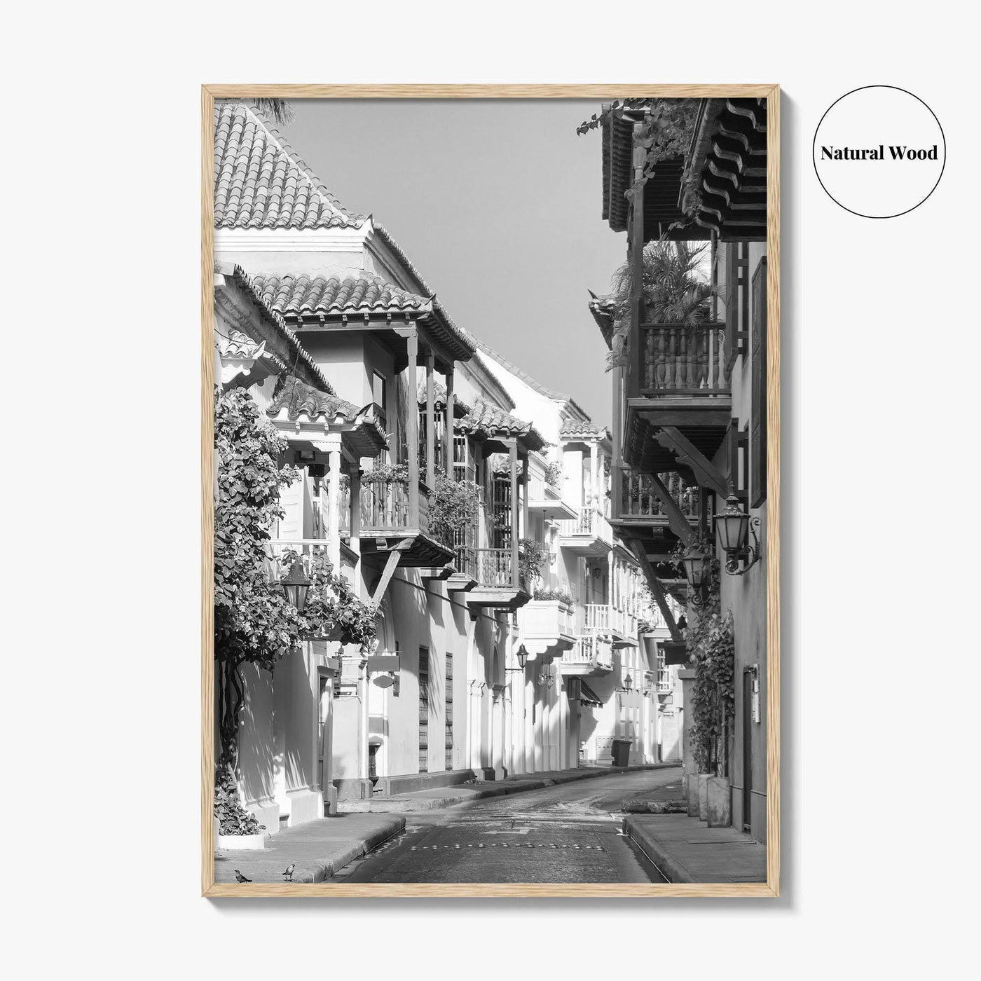Cartagena Black and White Fine Art Photo Print, Colombia Colonial Street Poster