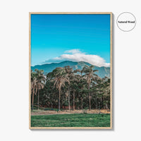 Caracas Fine Art Photo Print, Venezuela Wall Art, Avila Mountain Parque del Este