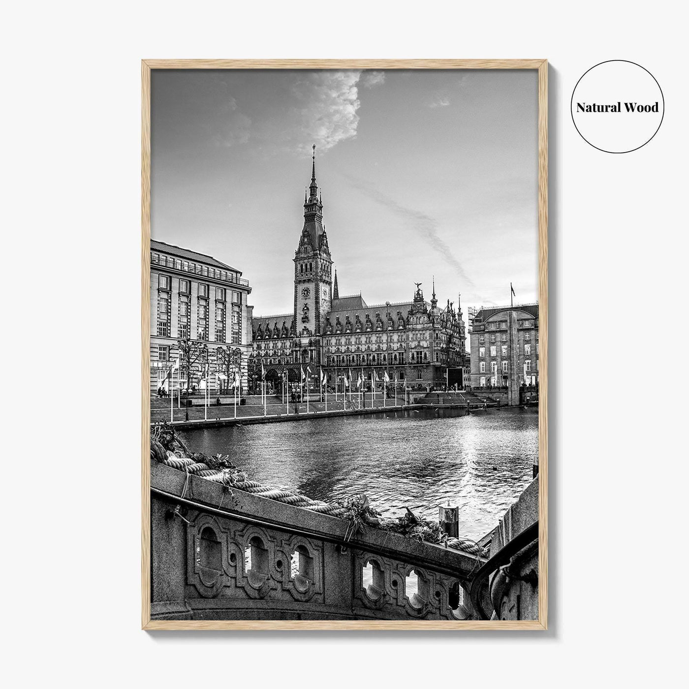 Hamburg Black and White Fine Art Photo Print, City Hall Rathaus, Germany Wall Poster