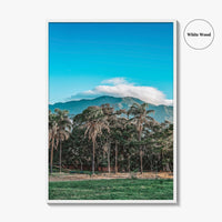 Caracas Fine Art Photo Print, Venezuela Wall Art, Avila Mountain Parque del Este