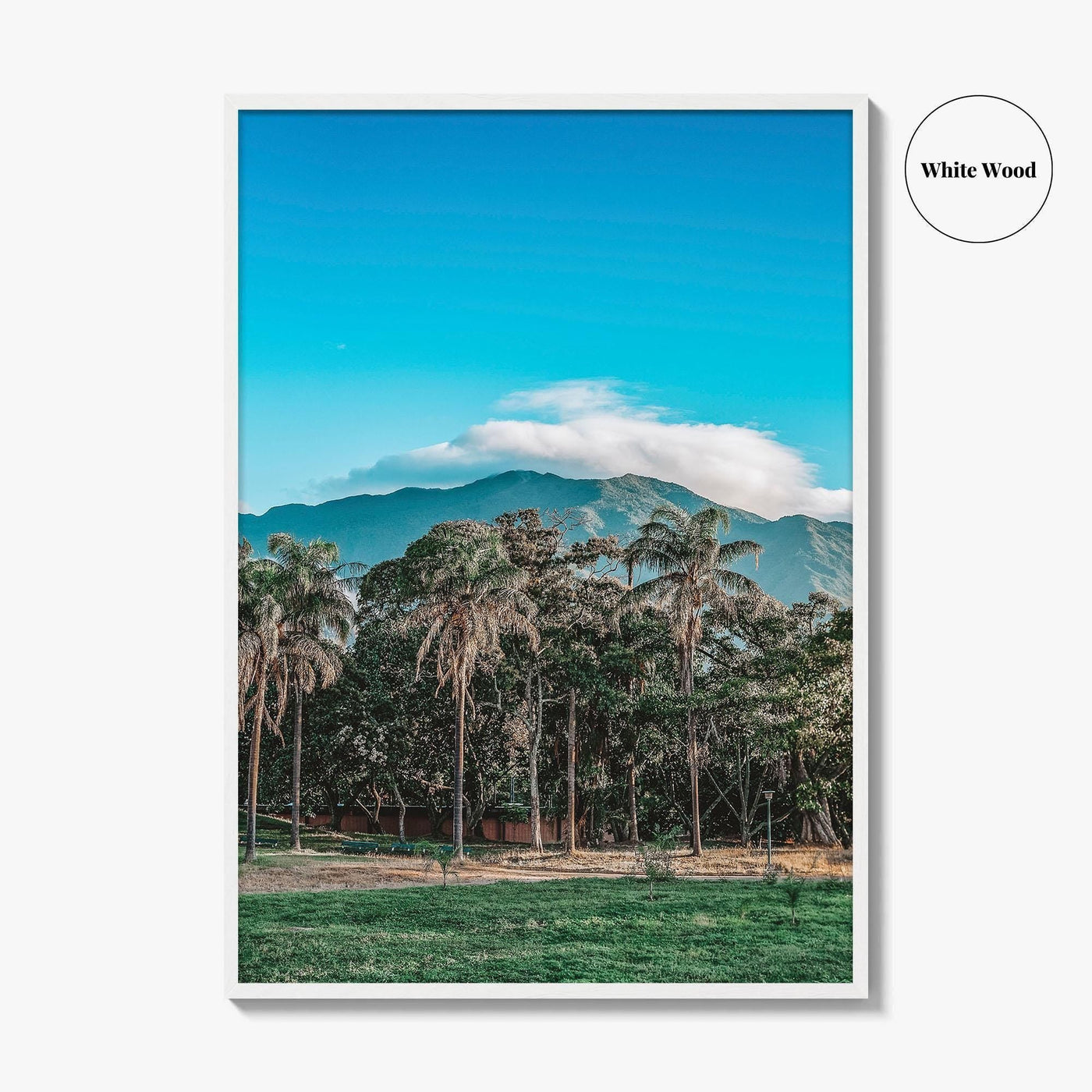 Caracas Fine Art Photo Print, Venezuela Wall Art, Avila Mountain Parque del Este