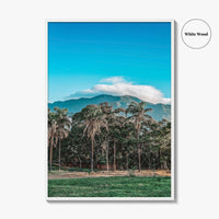Caracas Fine Art Photo Print, Venezuela Wall Art, Avila Mountain Parque del Este