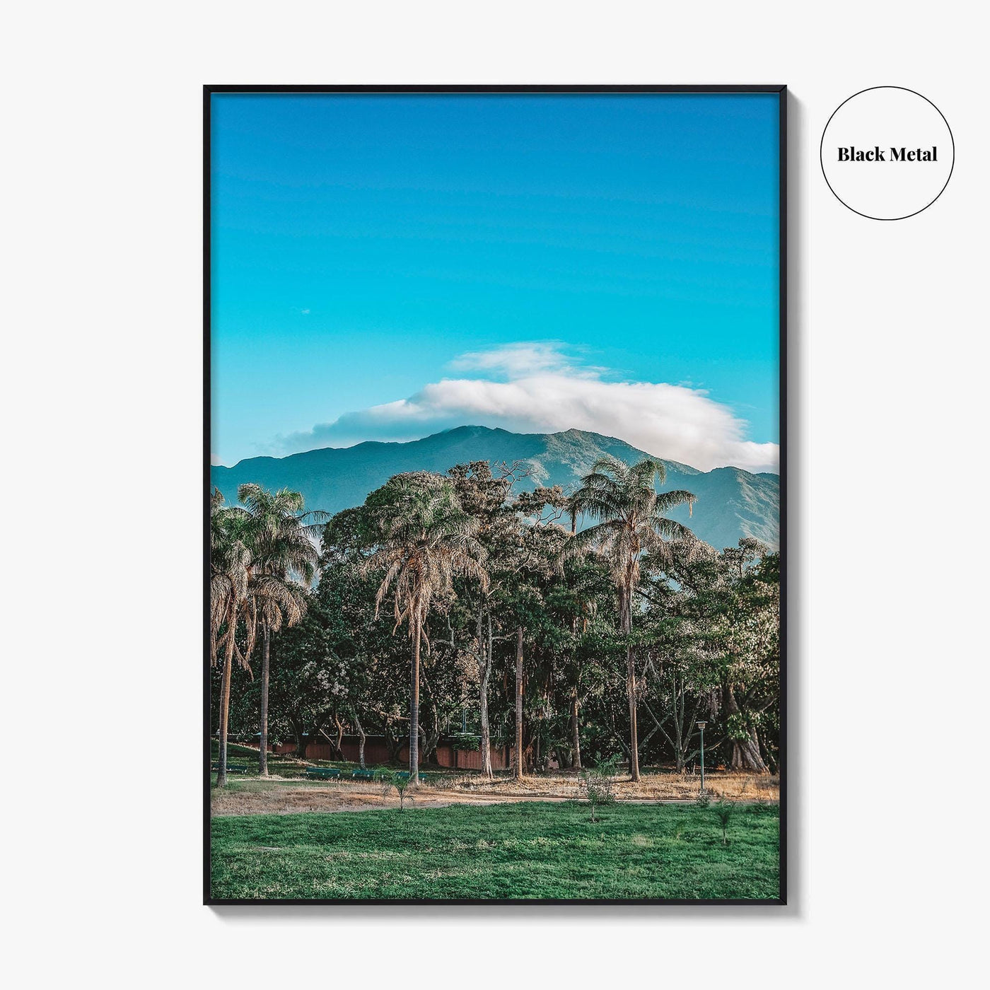 Caracas Fine Art Photo Print, Venezuela Wall Art, Avila Mountain Parque del Este
