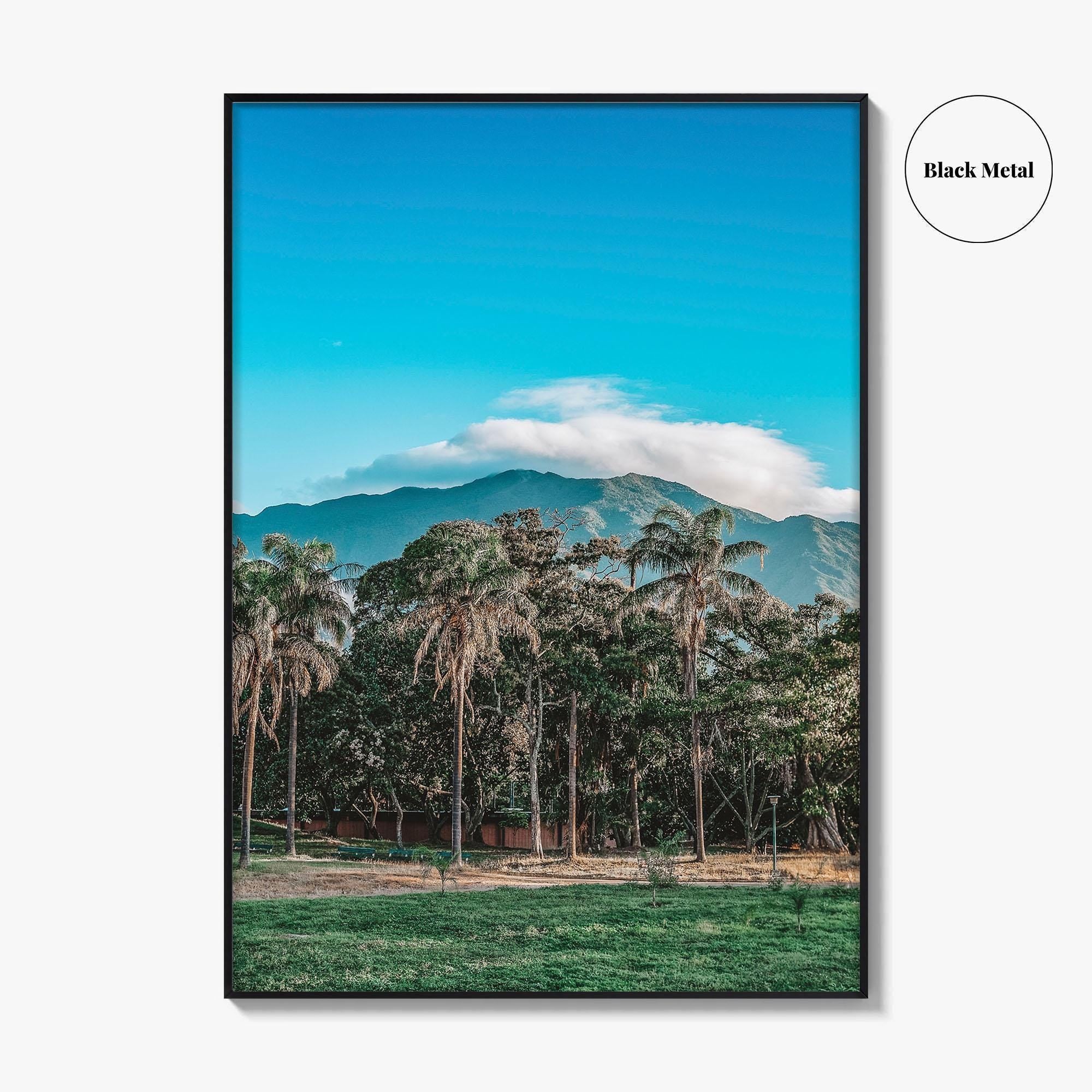 Caracas Fine Art Photo Print, Venezuela Wall Art, Avila Mountain Parque del Este