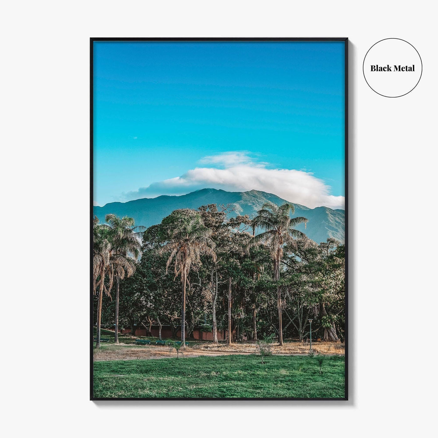 Caracas Fine Art Photo Print, Venezuela Wall Art, Avila Mountain Parque del Este