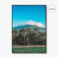 Caracas Fine Art Photo Print, Venezuela Wall Art, Avila Mountain Parque del Este