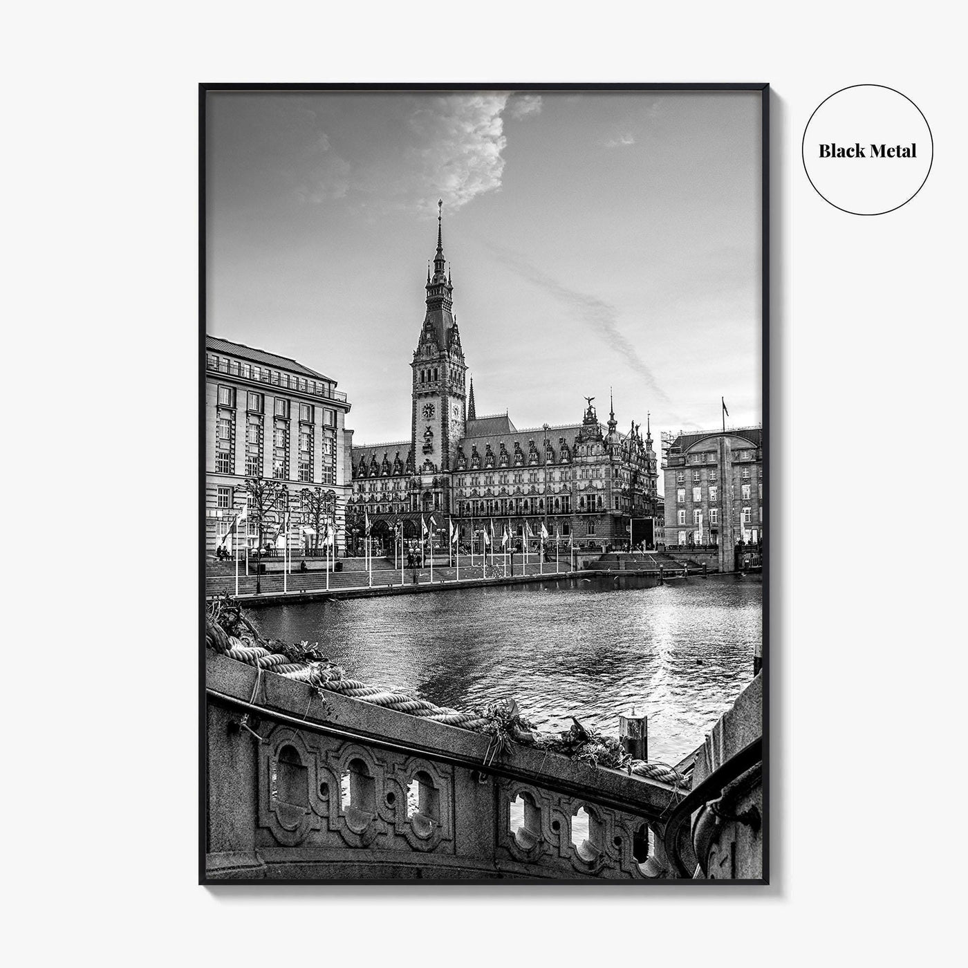 Hamburg Black and White Fine Art Photo Print, City Hall Rathaus, Germany Wall Poster