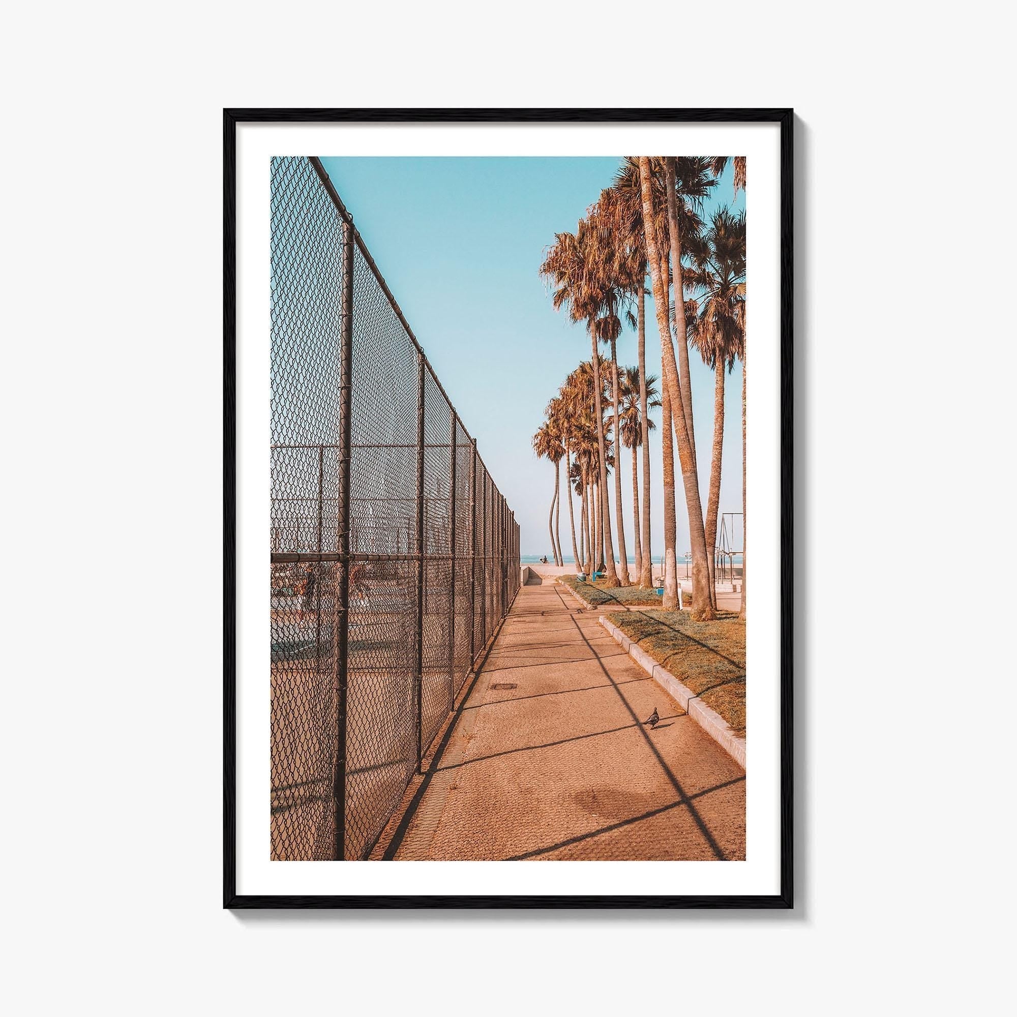 Los Angeles Fine Art Photo Print, Venice Beach, California, Palm Trees Photo Poster