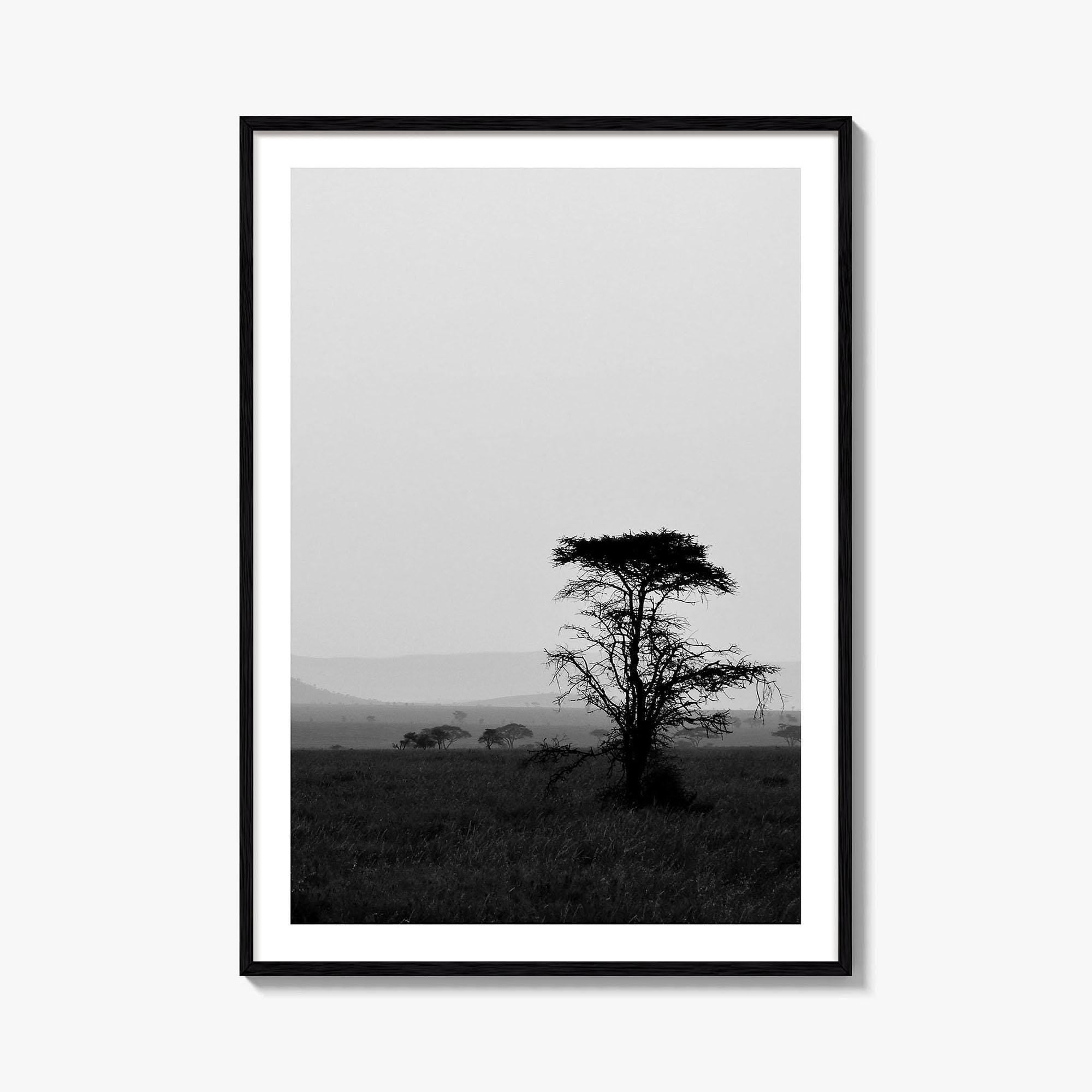 Serengeti Black and White Fine Art Photo Print, Tanzania Landscape Poster