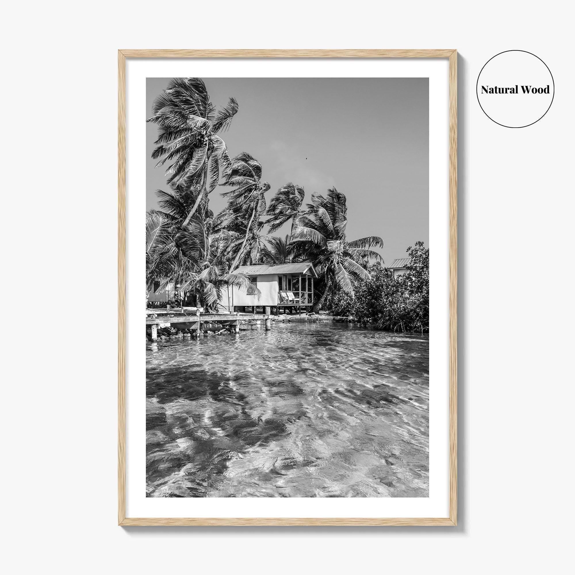 Tobacco Caye Black and White Fine Art Photo Print, Belize Barrier Reef, Caribbean, Poster
