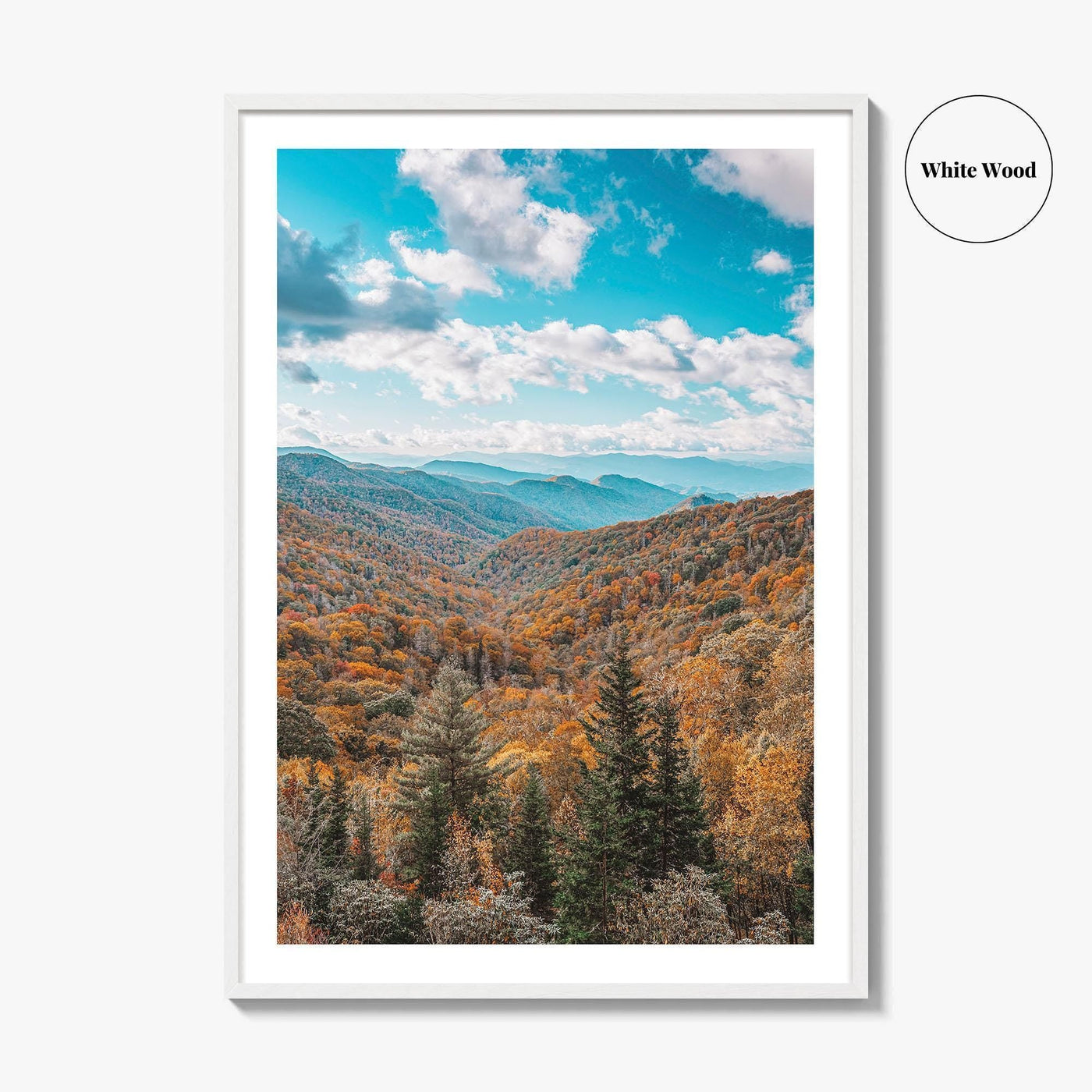 Great Smoky Mountains National Park Fine Art Photo Print, Newfound Pass Tennessee Poster