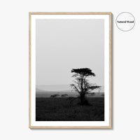 Serengeti Black and White Fine Art Photo Print, Tanzania Landscape Poster