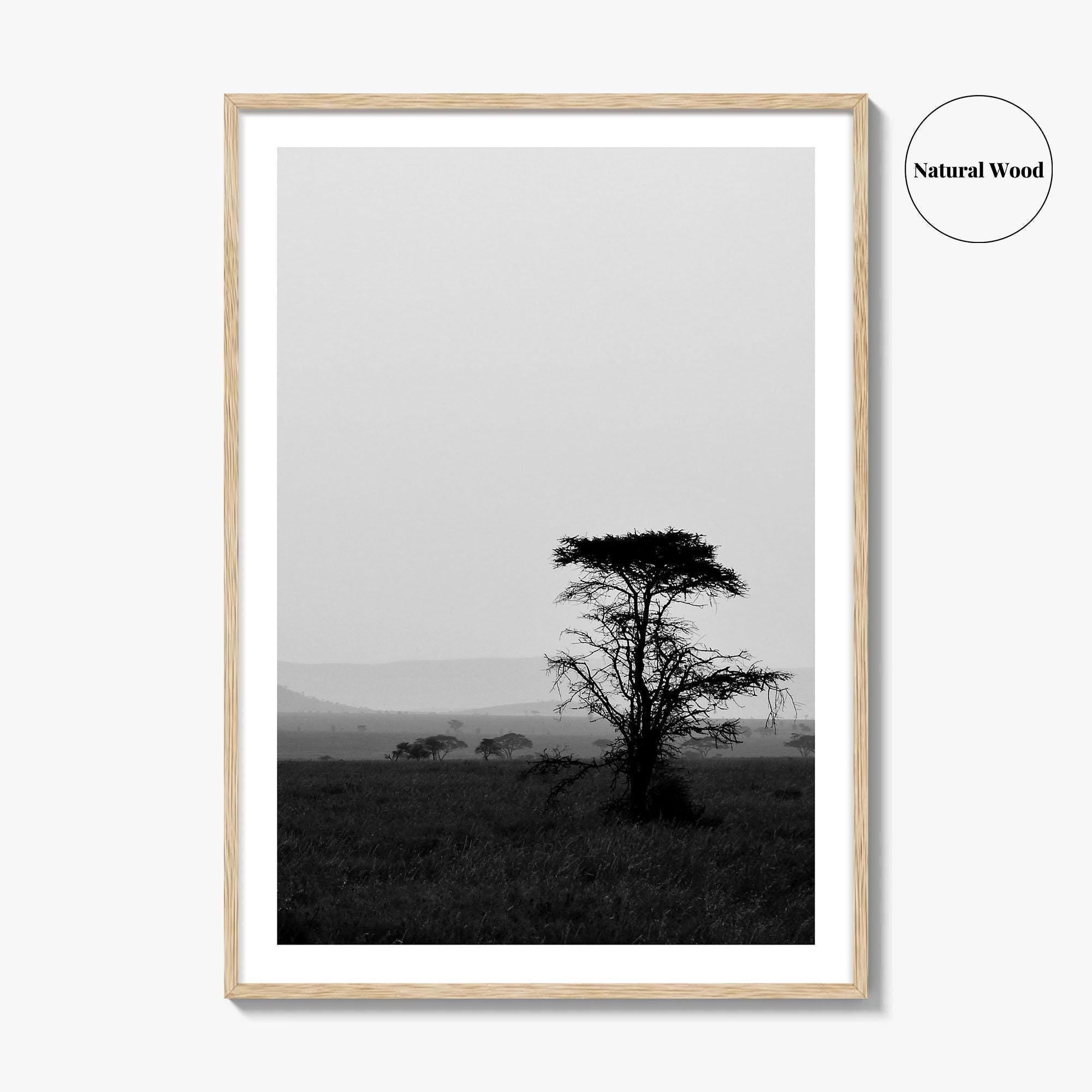 Serengeti Black and White Fine Art Photo Print, Tanzania Landscape Poster