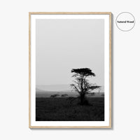 Serengeti Black and White Fine Art Photo Print, Tanzania Landscape Poster