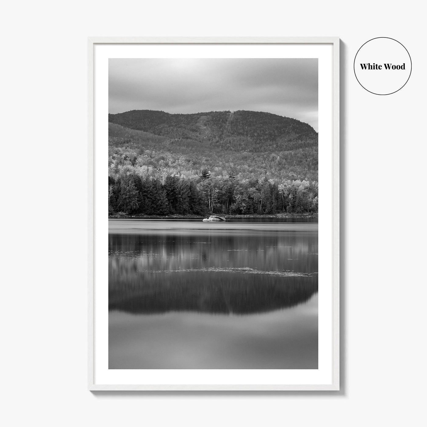 Loon Lake Black and White Fine Art Photo Print, Adirondack Mountains Poster