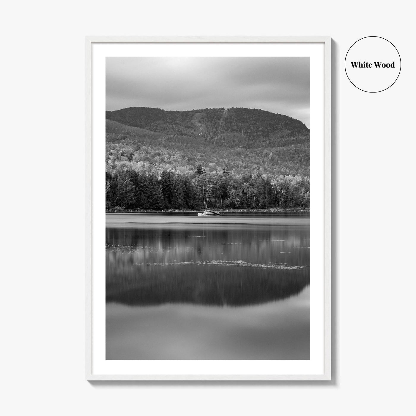 Loon Lake Black and White Fine Art Photo Print, Adirondack Mountains Poster