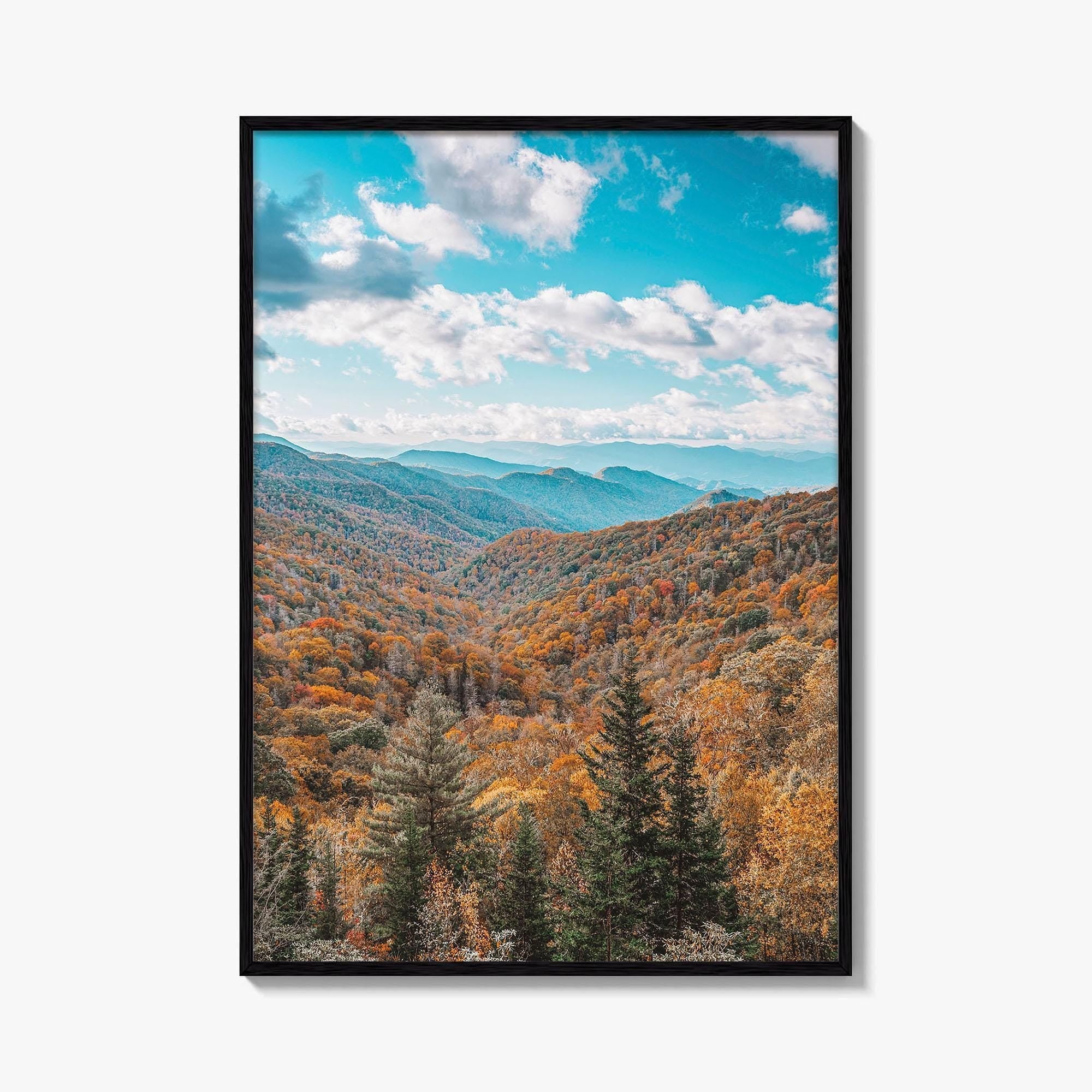 Great Smoky Mountains National Park Fine Art Photo Print, Newfound Pass Tennessee Poster