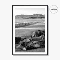 Cambria Black and White Fine Art Photo Print, California Central Coast Rocks Poster
