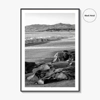 Cambria Black and White Fine Art Photo Print, California Central Coast Rocks Poster