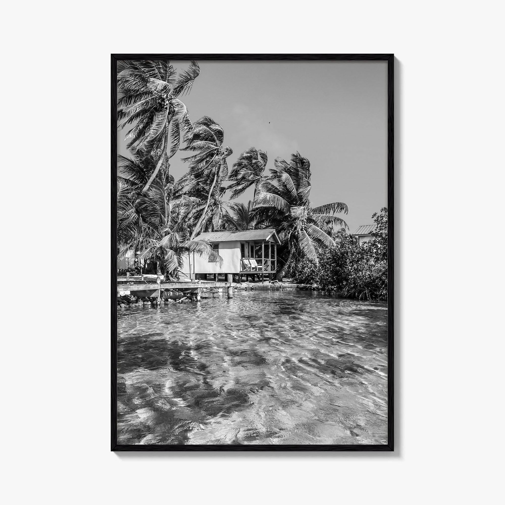 Tobacco Caye Black and White Fine Art Photo Print, Belize Barrier Reef, Caribbean, Poster