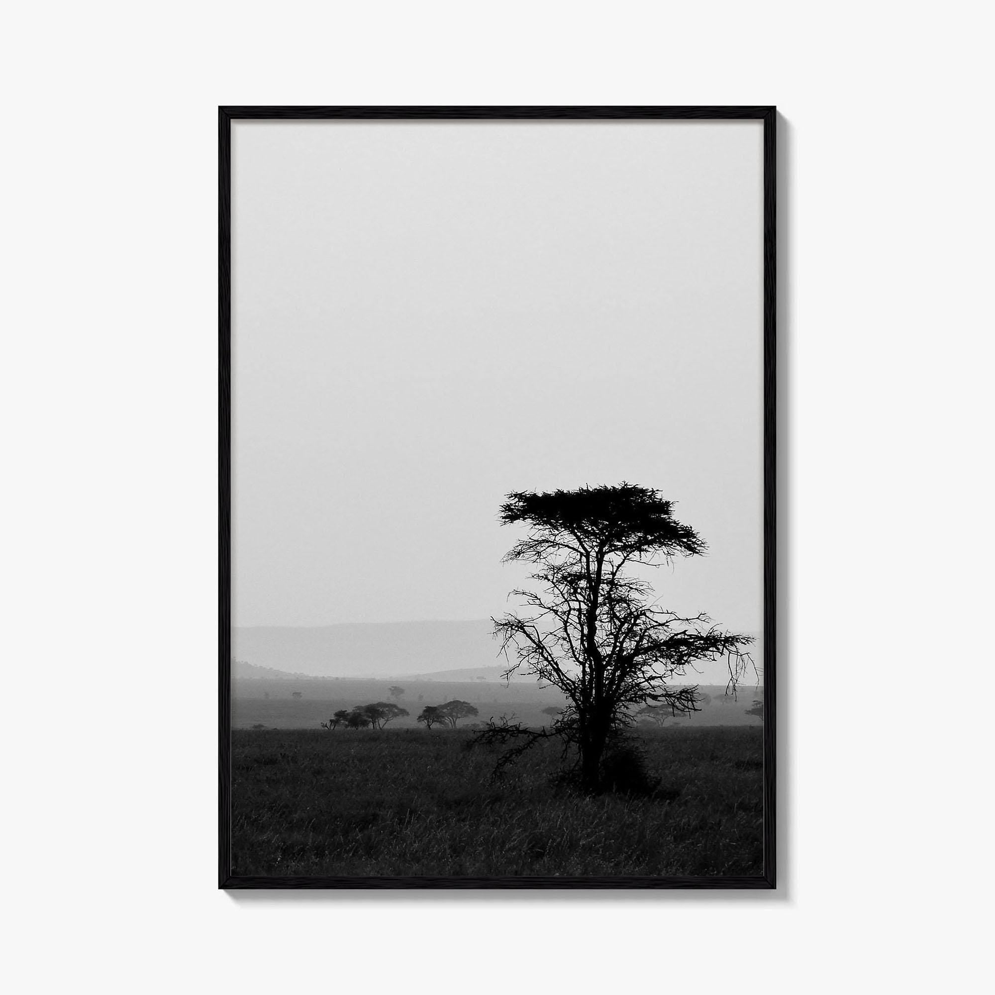 Serengeti Black and White Fine Art Photo Print, Tanzania Landscape Poster