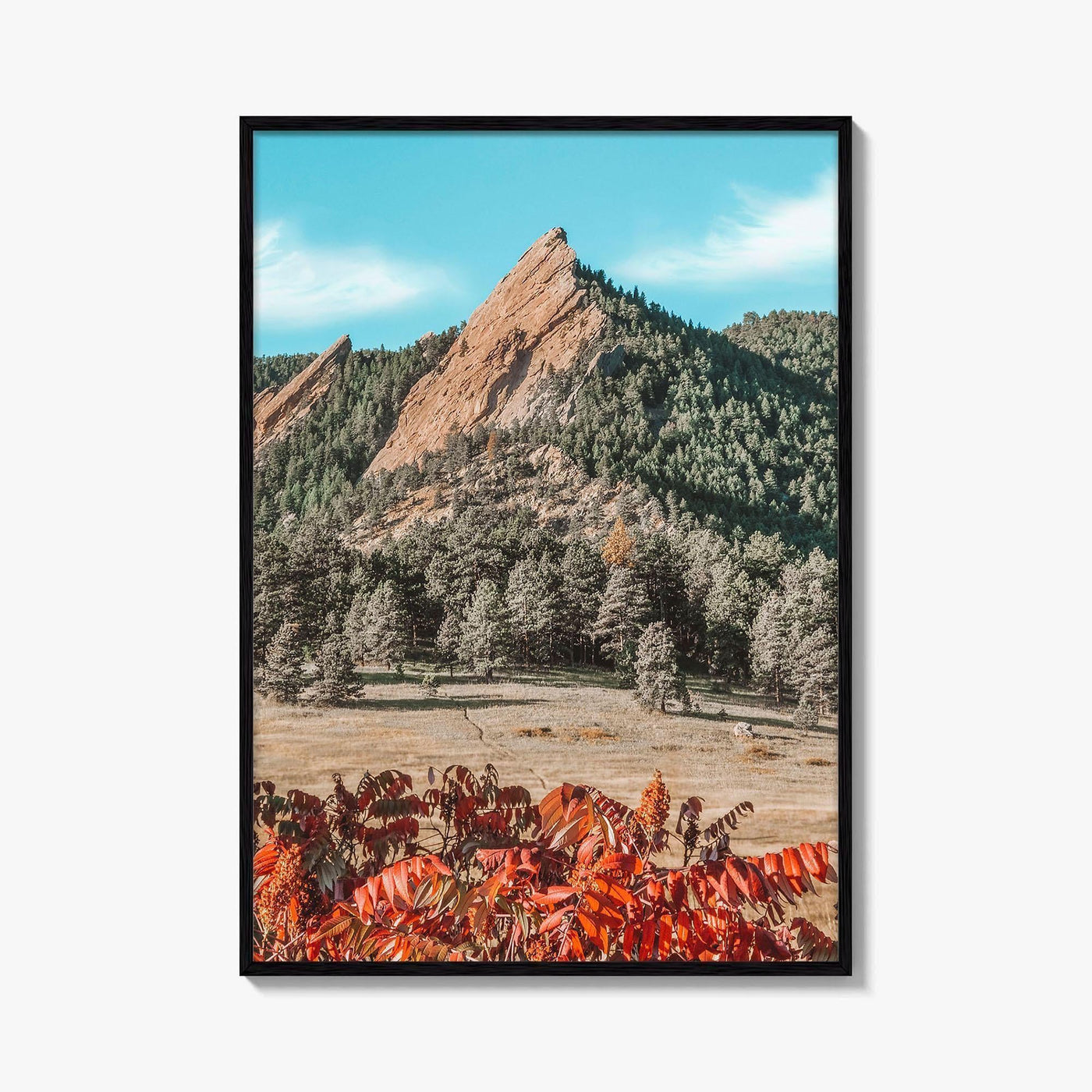 Boulder Fine Art Photo Print, Flatirons Colorado, Rocky Mountains, Autumn Foliage Poster
